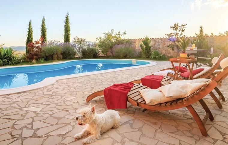 Met de hond op vakantie in een vakantiehuis |