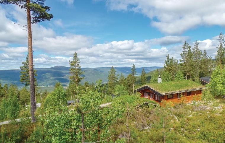 Vakantiehuis in Rendalen