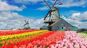 Vakantiehuizen in Nederland