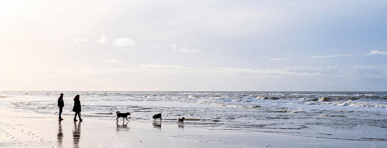 Nederland 14 dagen gratis annuleren
